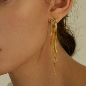 Tassel earrings